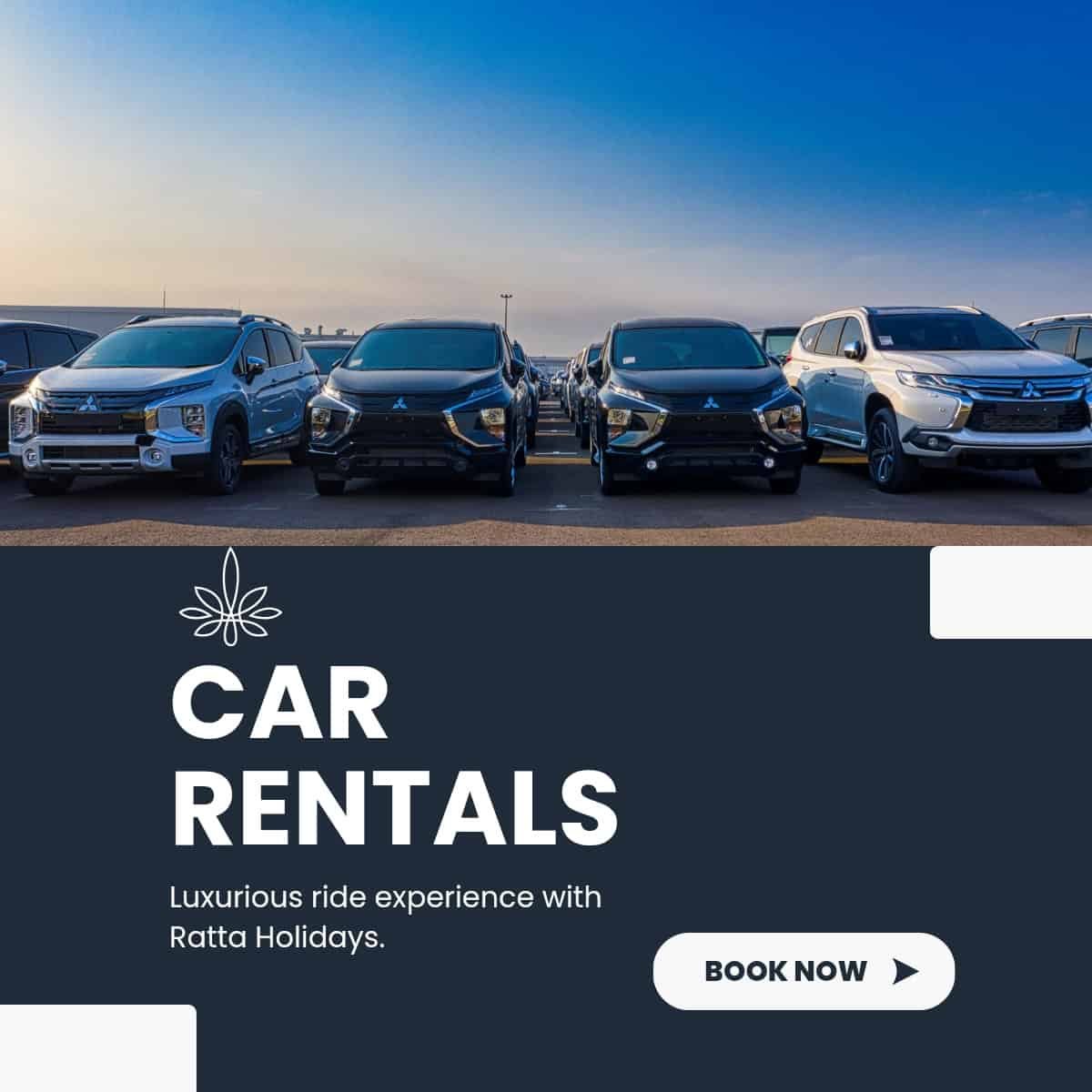 Car Rentals