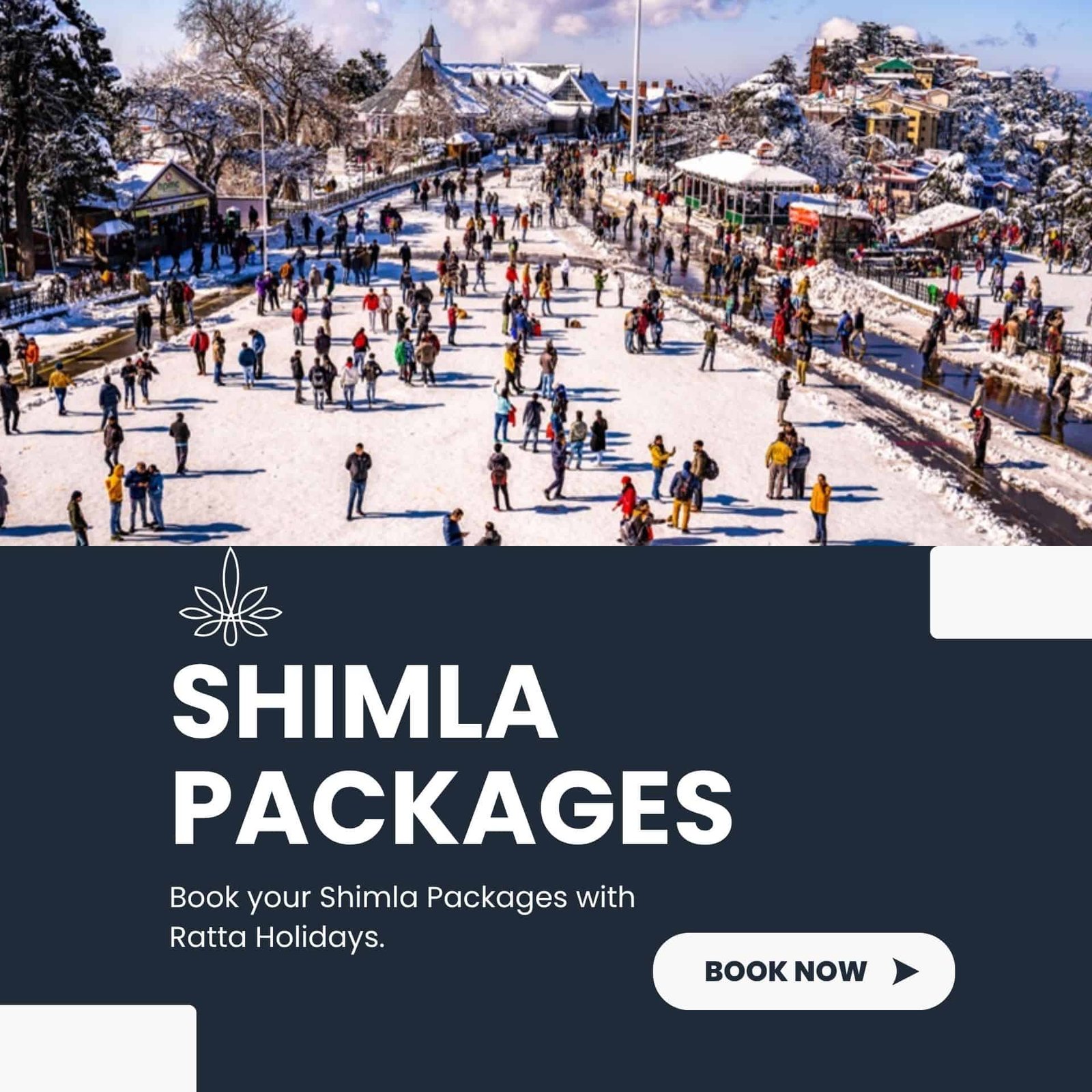 Shimla
